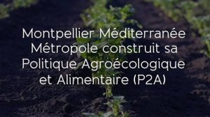 illustrtation article : Politique agroécologique et alimentaire de Montpellier