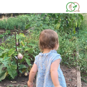 illustrtation rubrique : 2019 / 1e Assises Territoriales de la transition agroécologique et de l’alimentation durable