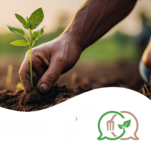 illustrtation rubrique : 2024 / Les assises territoriales de la transition agroécologique et de l’alimentation durable (Montpellier)