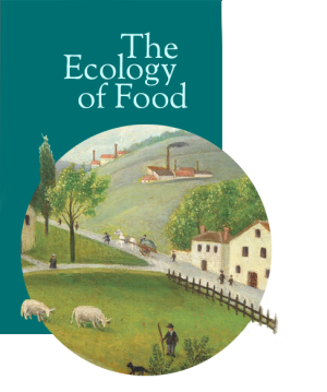 illustrtation article : Food aid to fight food insecurity?