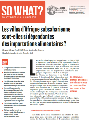illustration So what : Les villes d’Afrique subsaharienne sont-elles si dépendantes des importations alimentaires&nbsp;?