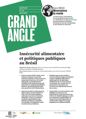 illustration Insécurité alimentaire et politiques publiques au Brésil