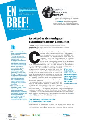 illustrtation article : Réveler les dynamiques des alimentations africaines