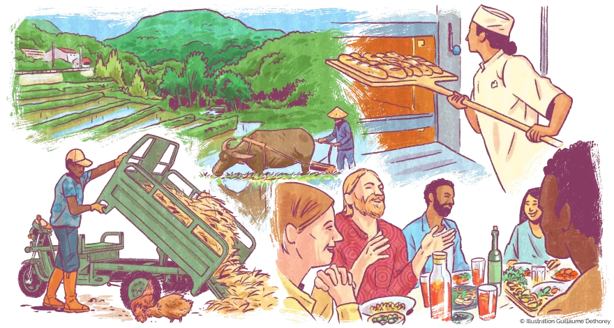 Durabilité des systèmes alimentaires