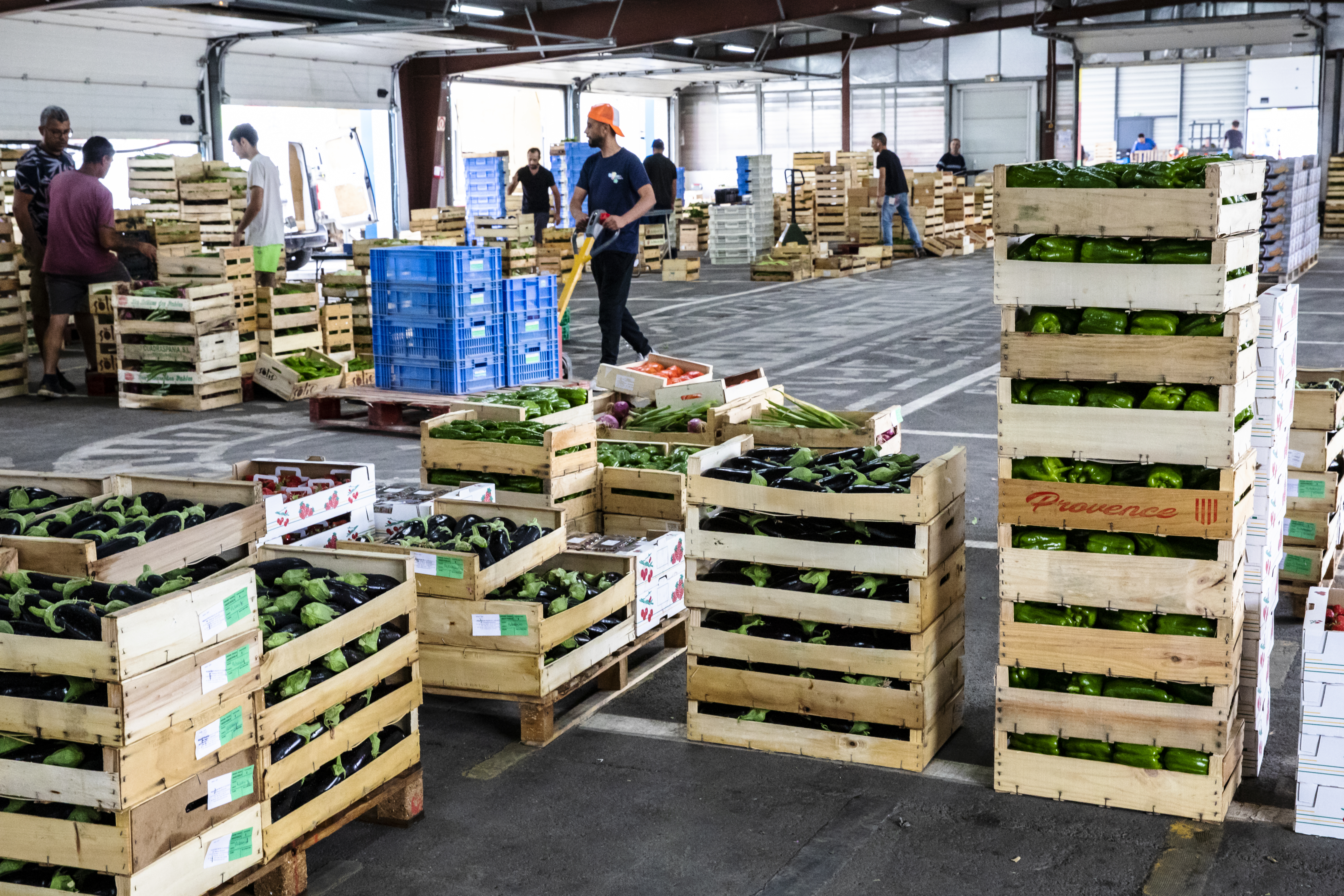 TerrAsol, c’est parti&nbsp;!