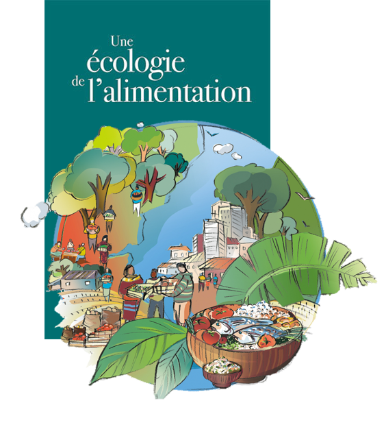 couverture Faux L’agriculture et les systèmes alimentaires du monde face aux changements climatiques