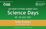 Conference - Priorities for inclusive urban food transformations in the global South
