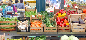 illustrtation article : Contribuez aux prochaines Assises de l’agroécologie et de l’alimentation durable