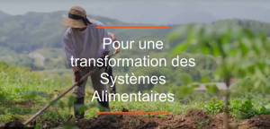 illustrtation article : 2024 / Les coûts cachés de l’alimentation, levier de transformation des systèmes alimentaires
