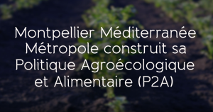 illustrtation article : P2A, agroecological and food policy of Montpellier