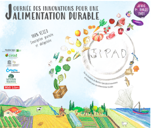 illustrtation article : JIPAD 2021