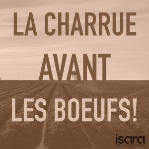 illustrtation article : La Charrue avant les boeufs&nbsp;!