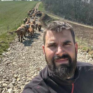 illustrtation article : Bertrand Noiret