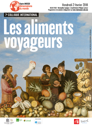 illustrtation article : «&nbsp;Montréal&nbsp;: comment les immigrés impactent-ils la culture alimentaire&nbsp;»