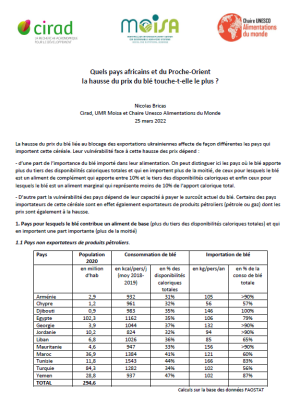 illustrtation article : Quels pays africains et du Proche-Orient la hausse du prix du blé touche-t-elle le plus&nbsp;?