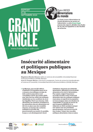 illustration Insécurité alimentaire et politiques publiques au Mexique