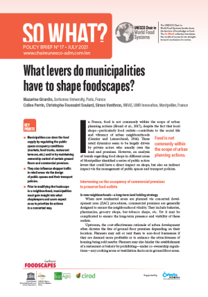 illustrtation article : 17/ What levers do municipalities have to  shape foodscapes?
