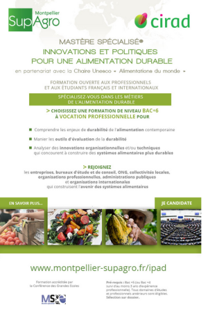 illustrtation article : JIPAD